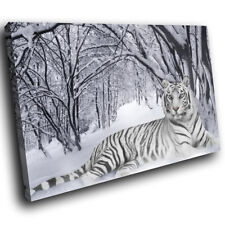 A047 snow white for sale  STRABANE