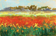 Campo papaveri poppies usato  Lucca