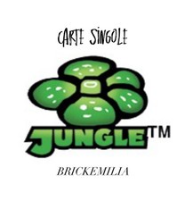 Pokémon serie jungle usato  Italia