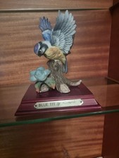 Leonardo collection nature for sale  SHETLAND