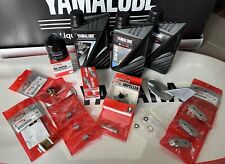 Kit tagliando completo usato  Cariati