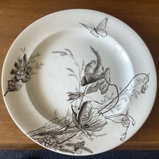 Hammersley son poppy for sale  STOURBRIDGE