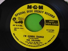 Velours gonna change for sale  READING
