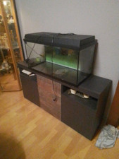 Aquarium juwel rio gebraucht kaufen  Neunkirchen