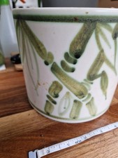 Planter designed bamboo for sale  SALFORD
