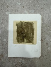 Riproduzione fotolitografica a usato  Bologna