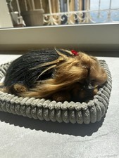 Peluche cagnolino che usato  Napoli