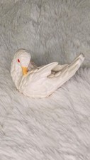 Pair white doves for sale  Loganville