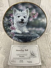 Westie collectors plate for sale  EXETER