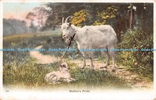 R551543 590 mothers for sale  WARLINGHAM