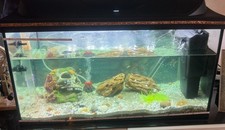 Tetra 105 aquarium for sale  LONDON
