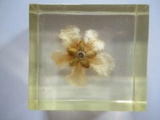 Inclusion resine fleur d'occasion  Fresnes