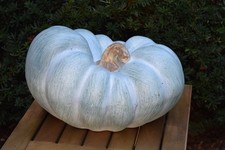pumpkin halloween decorations for sale pumpkin halloween decorations for sale Little Neck