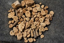 Rar konvolut sammlung gebraucht kaufen  Völklingen