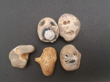 Pebbles unusual natural for sale  NORWICH