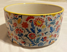 Tigela de servir floral Pioneer Woman grés # 311SDIB 6 polegadas média comprar usado  Enviando para Brazil