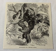 1885 book engraving for sale  Wilmington