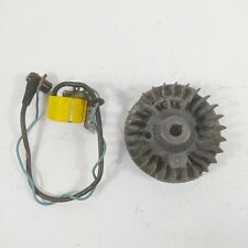 Volano bobina avviamento usato  Altavilla Silentina