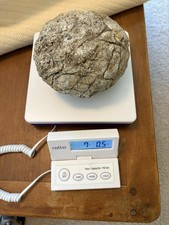 Unopened geode nodule for sale  Nashville