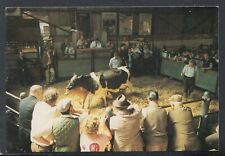 Leicestershire animals postcar for sale  WATERLOOVILLE