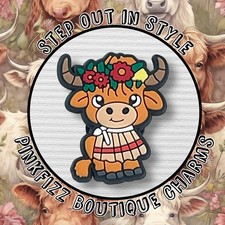 Cute highland cow for sale  TONBRIDGE