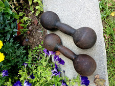 weight iron dumbbells set for sale  Adrian