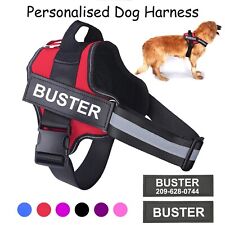 Pull adjustable dog for sale  MANCHESTER