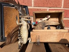 Taxidermy curiosity box for sale  BOSTON