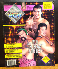 Wcw magazine debut for sale  ARDROSSAN
