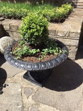 Antique victorian cast for sale Antique victorian cast for sale  LONDON