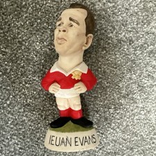Ieuan evans grogg for sale  CONWY