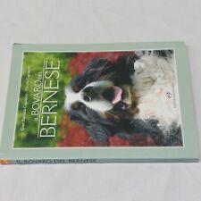 Bovaro del bernese usato  Signa