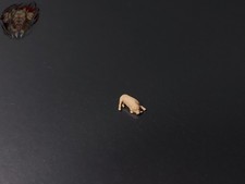 Beagle liegt hund gebraucht kaufen Beagle liegt hund gebraucht kaufen  Deutschland