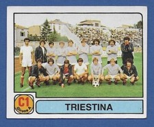 Figurina calciatori panini usato  Perugia