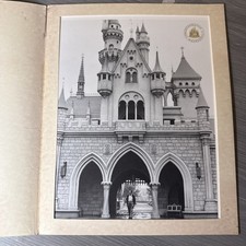 50th disney anniversary for sale  Clovis