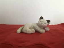 Gatto thun fuori usato  Loreto