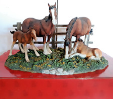 Anheuser busch clydesdale for sale  Carrollton