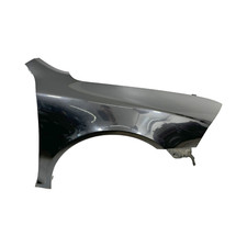 Skoda ctavia kotflügel gebraucht kaufen  Borgentreich