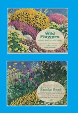 Wild flowers brooke for sale  Ireland