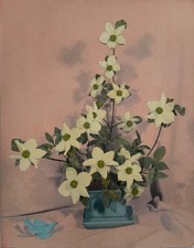 Vintage hand colored for sale  Blaine