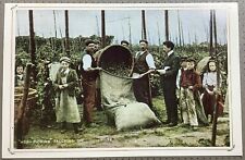 Hop picking kent for sale  HUDDERSFIELD
