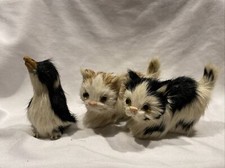 Felltier sammlung katze gebraucht kaufen  Herzberg am Harz