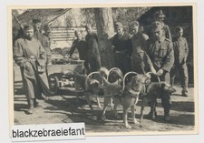1158 wk2 foto gebraucht kaufen  Sinsheim
