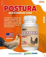 Postura hens bone for sale  Hollywood