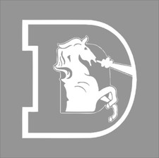 Denver broncos nfl for sale  Mount Pleasant