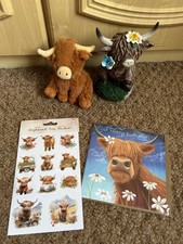 Cute highland cow for sale  SEAHAM