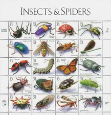 Arañas e insectos segunda mano Arañas e insectos segunda mano Embacar hacia Mexico