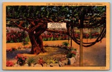 Vintage california postcard for sale  Dayville