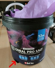 Red sea coral for sale  WAREHAM