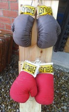 Old style everlast for sale  YORK